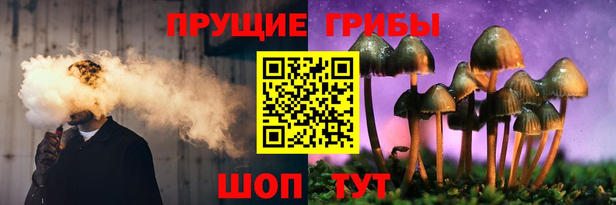 Галлюциногенные грибы прущие грибы  Вход с VPN  Гусев 
